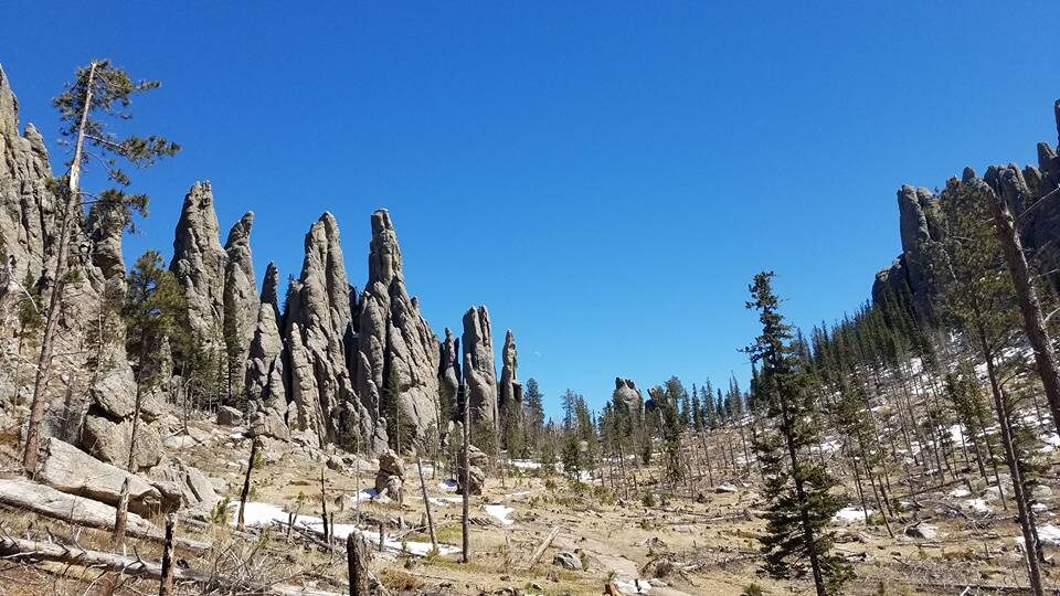 Why vacation in the Black Hills of South Dakota?